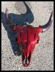 buffalo skull 2006 ...sold out.