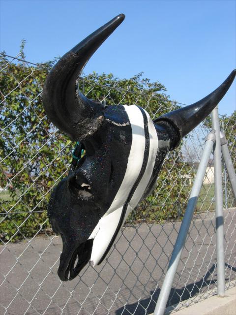 buffalo skull 2007 ...sold out.