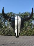 buffalo skull 2007 ...sold out.