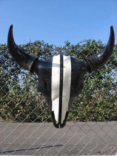 buffalo skull 2007 ...sold out.