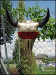 buffalo skull 2008 ...sold out.