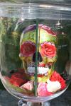 "novios de la muerte"