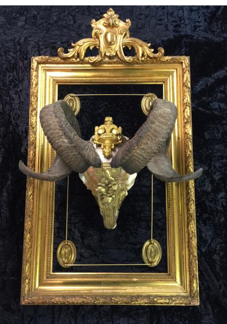 aries