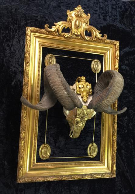 aries