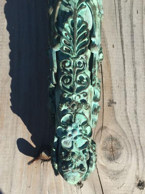 nautil'opinelus