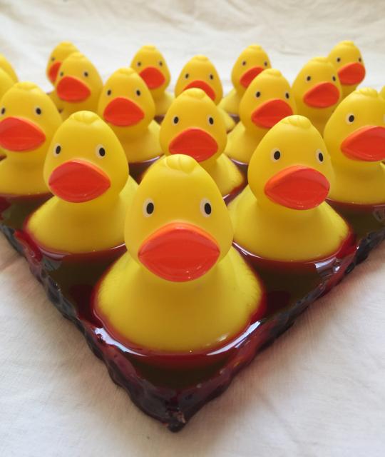 ducky