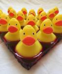 ducky