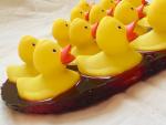ducky