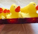 ducky